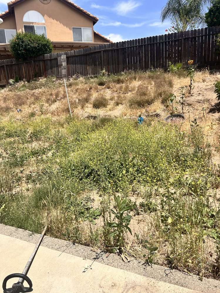 Weed removal and clearing on Fallbrook property